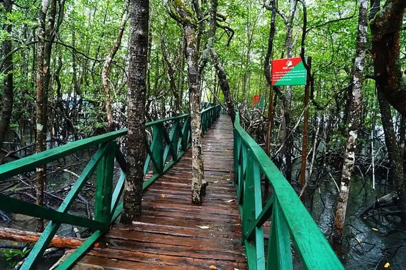 Baratang Island, Andaman and Nicobar Islands