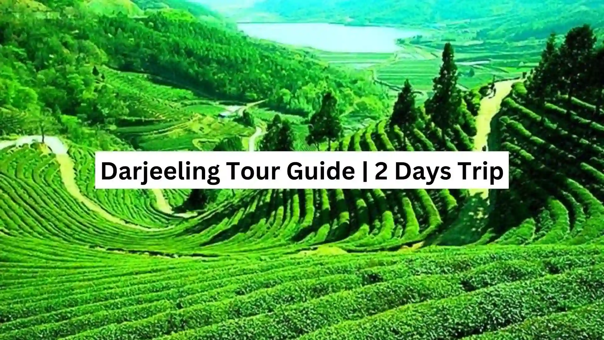 Darjeeling Tour Guide ; 2 Days Trip