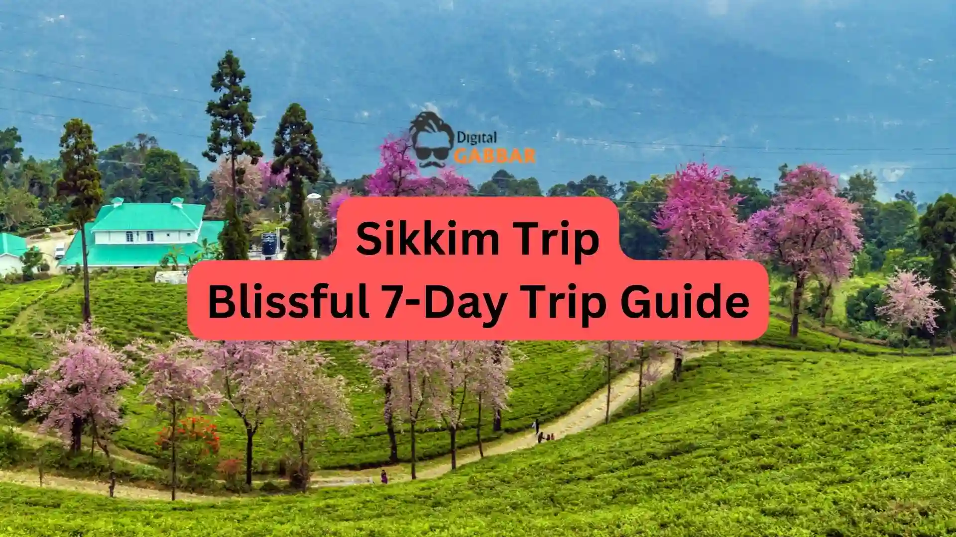 Sikkim Trip: Blissful 7-Day Trip Guide