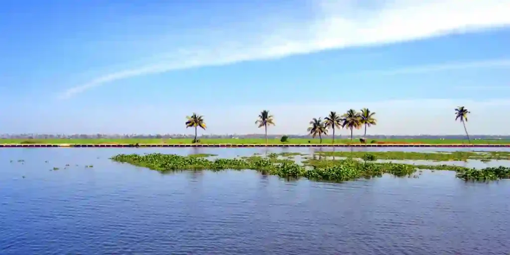 kerala backwaters, kuttanad backwaters