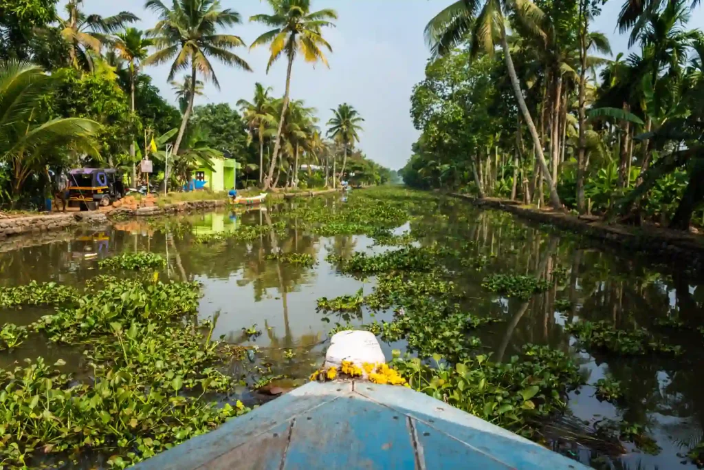 5 Best Places in Kerala to Experience Kerala Backwaters