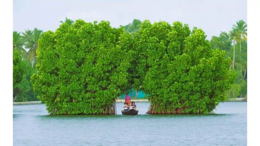 Munroe's Insland, kerala backwaters