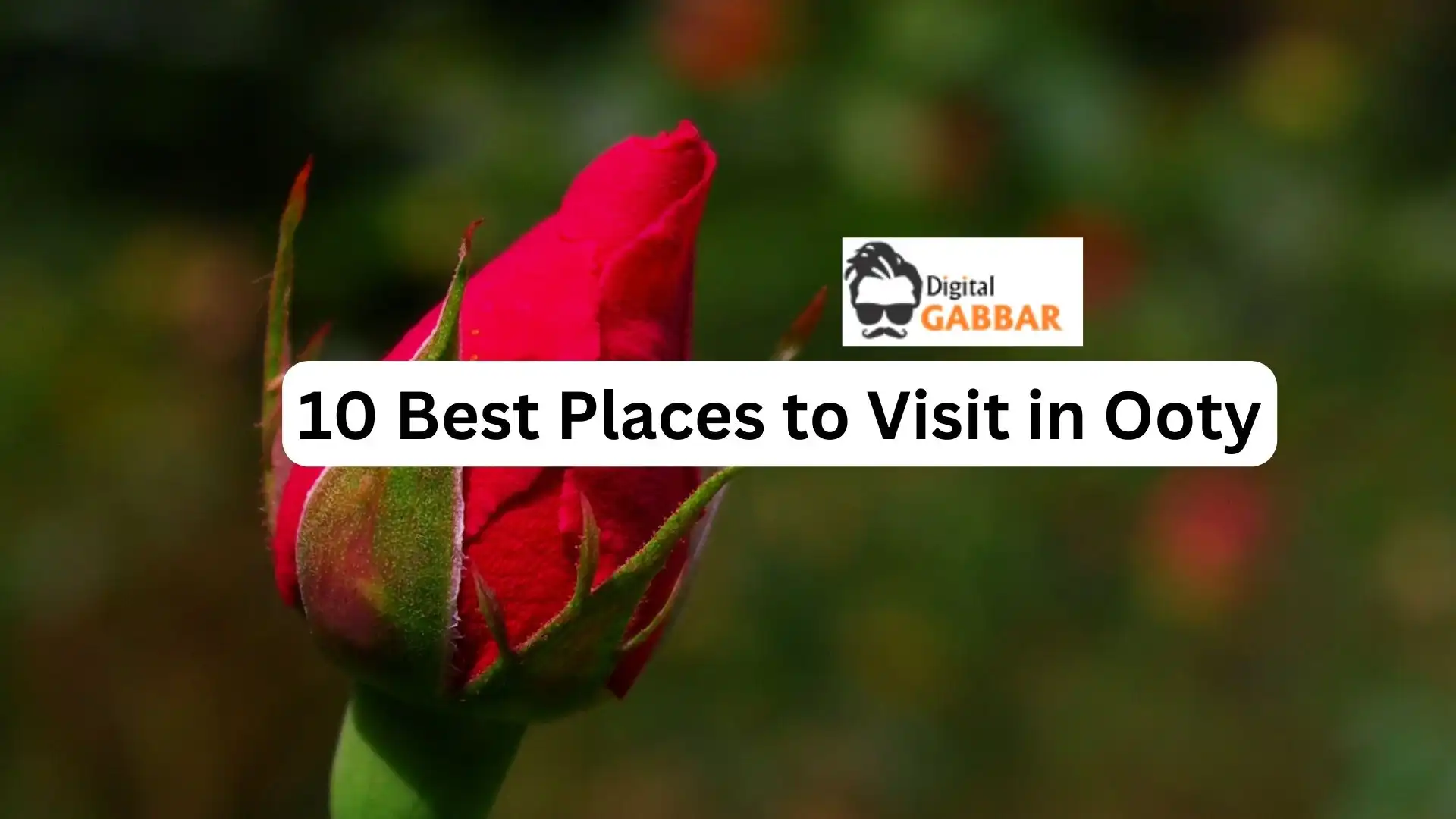 10 Best Places to Visit in Ooty