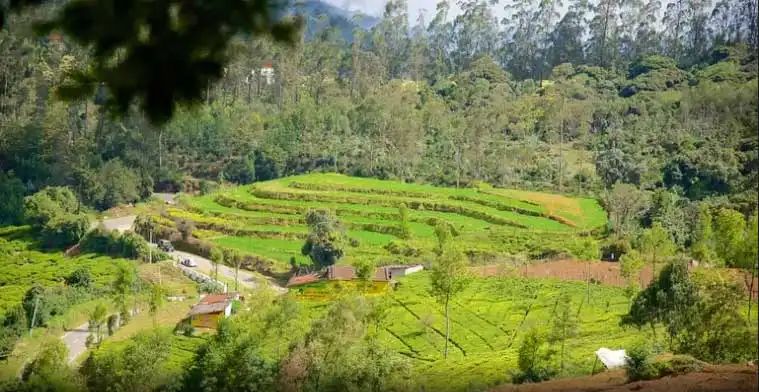 10 Best Places to Visit in Ooty