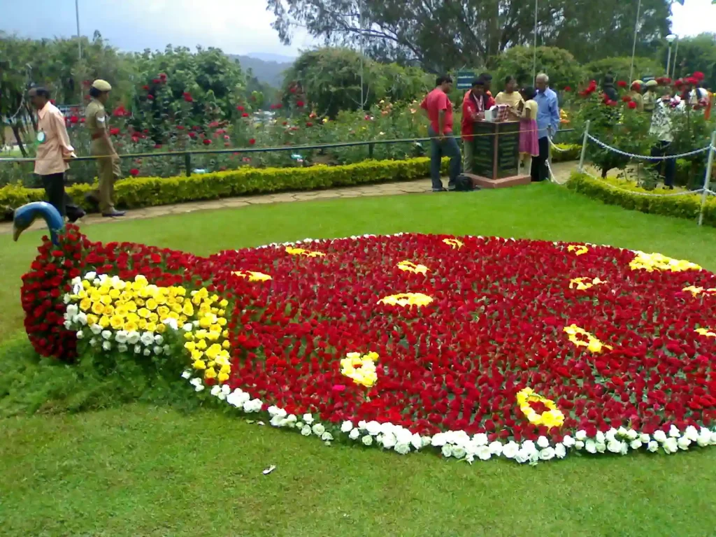 10 Best Places to Visit in Ooty