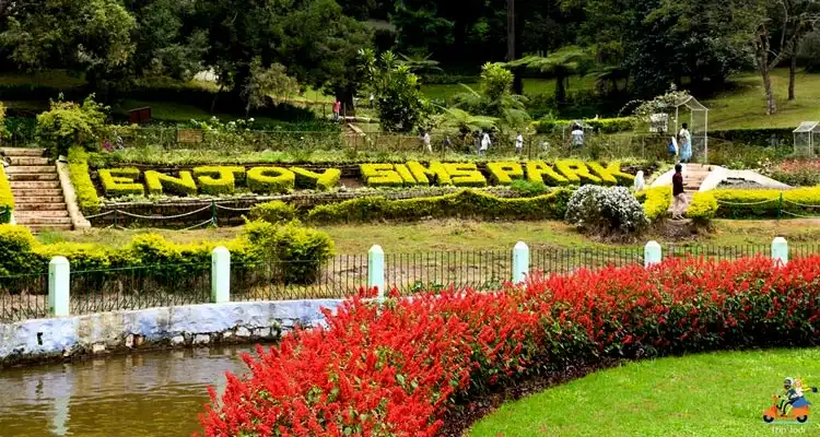 Best Places to Visit in Ooty