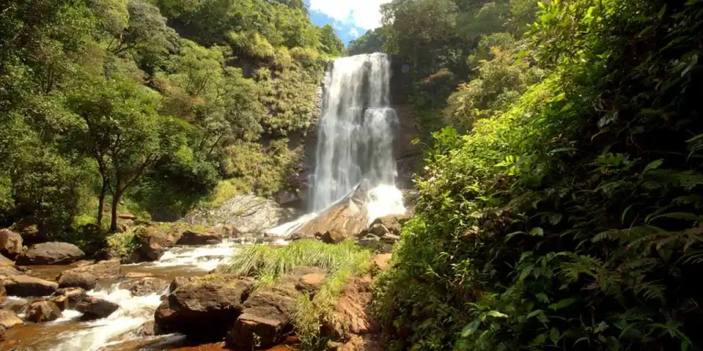 5 Best Places to Visit in Chikmagalur