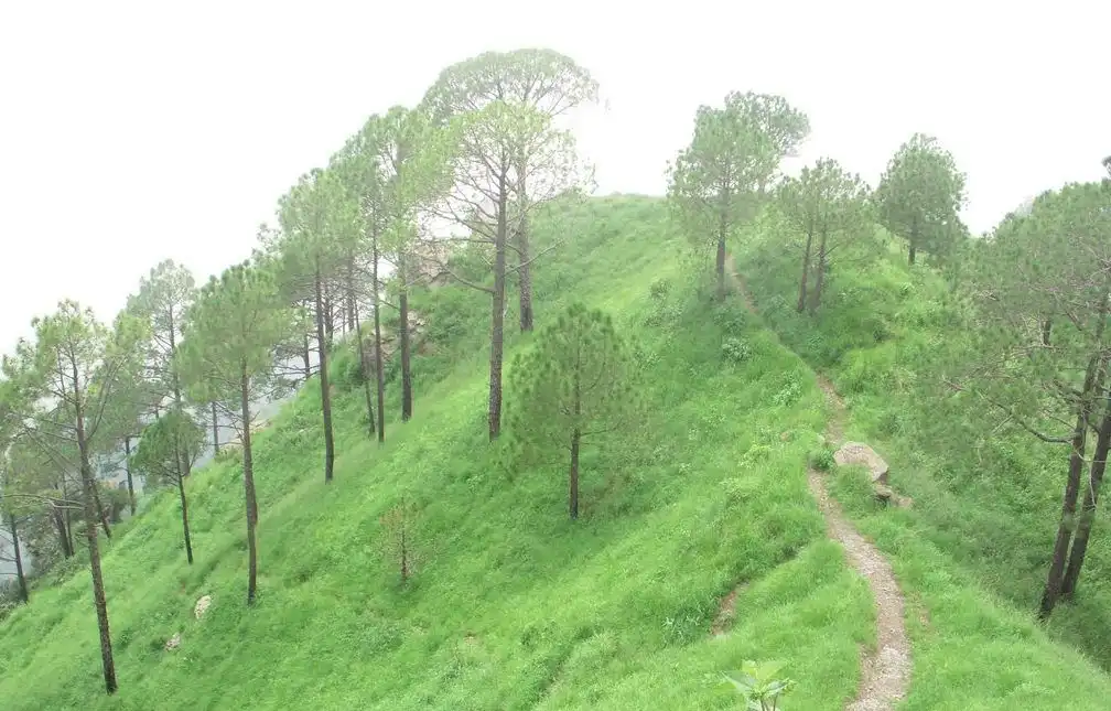 6 Best Places in Kasauli