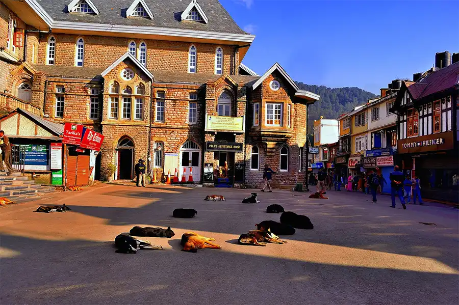 7 Best Places in Shimla