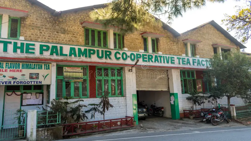 9 Best Places in Palampur